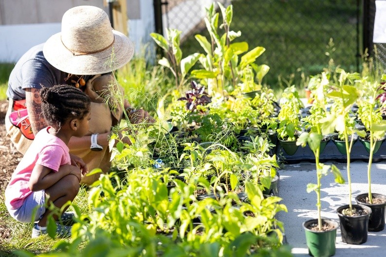 A young person and adult looking at growing vegetables.